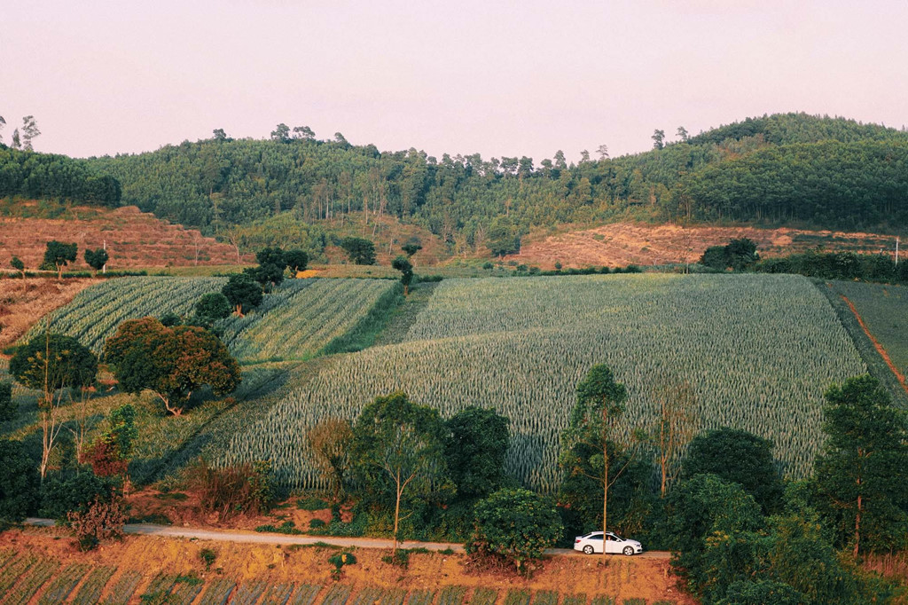 Đồi Dứa Ninh bình
